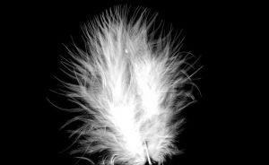 Дълго дамско кожено яке естествена агнешка кожа с гъши пух, с яка естествен косъм лисица