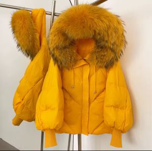 Зимно яке с пълнеж патешки пух и голяма яка